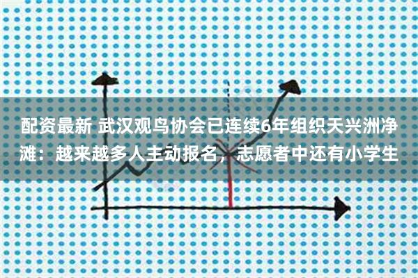配资最新 武汉观鸟协会已连续6年组织天兴洲净滩：越来越多人主动报名，志愿者中还有小学生