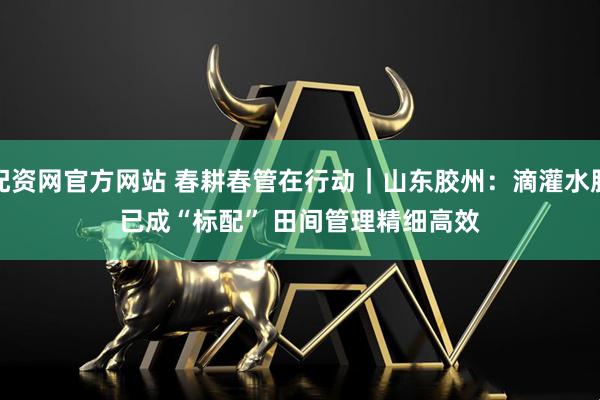 配资网官方网站 春耕春管在行动|山东胶州:滴灌水肥已成“标配” 田间管理精细高效